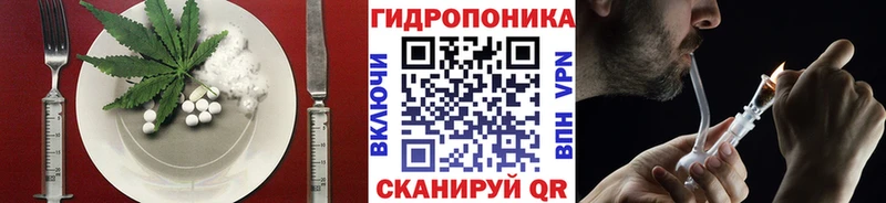 Canna-Cookies конопля Сокол