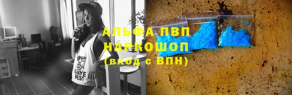 PSILOCYBIN Медвежьегорск