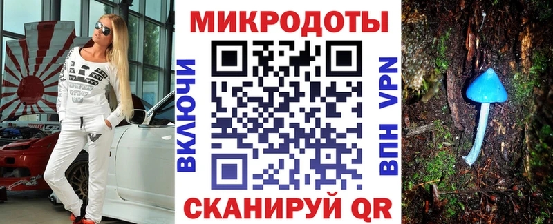 Галлюциногенные грибы Psilocybe Сокол