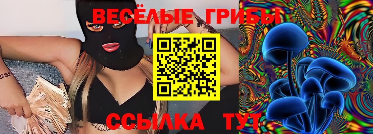 Псилоцибиновые грибы ЛСД  даркнет сайт  Сокол  Вход с VPN 